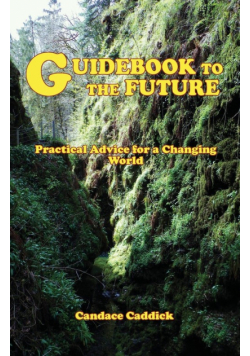 Guidebook to the Future