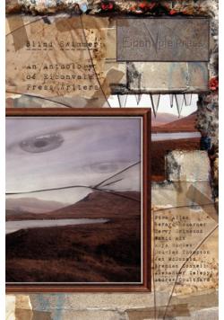 Blind Swimmer - An Eibonvale Press Anthology (Paperback)