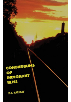 Conundrums of Indignant Bliss