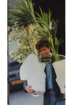 Potplanten pot plants topfpflanzen plantes en pot piante da vaso planeta en particular 1991/ 92