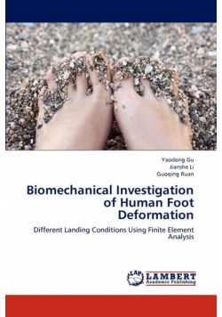 Biomechanical Investigation of Human Foot Deformation