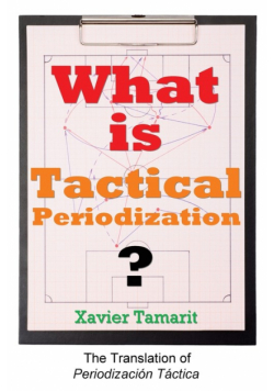 What is Tactical Periodization?