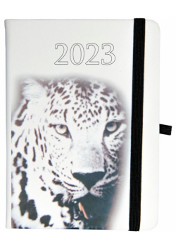 Kalendarz 2023 B6 tyg. Hip hop tygrys ELEFANT