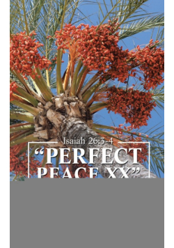 "Perfect Peace Xx"