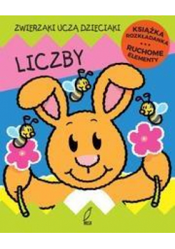 Liczby. Książka rozkładana