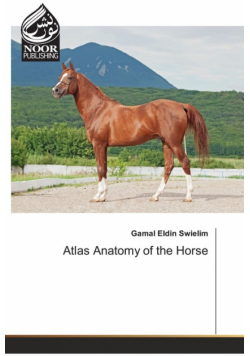 Atlas Anatomy of the Horse