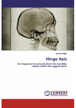 Hinge Axis