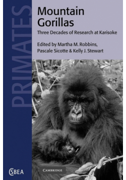 Mountain Gorillas
