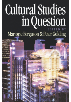 Cultural Studies in Question