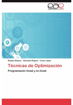 Técnicas de Optimización