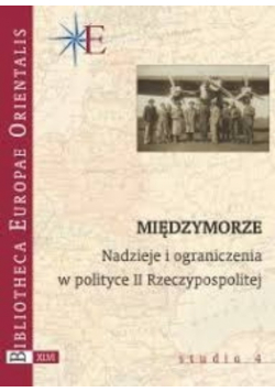 Międzymorze Nadzieje i ograniczenia w polityce