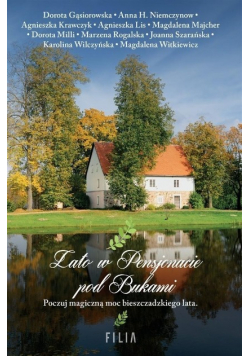 Lato w Pensjonacie pod Bukami