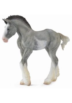 Źrebię Clydesdale Foal Blue Roan