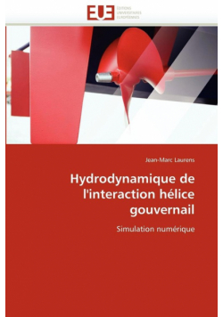 Hydrodynamique de l'interaction hélice gouvernail