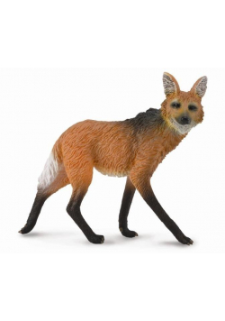 Wilk grzywiasty