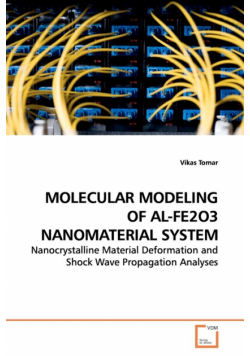 Molecular Modeling Of Al-Fe2O3 Nanomaterial System