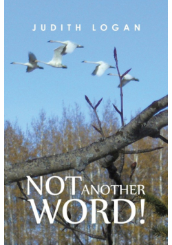 Not Another Word!