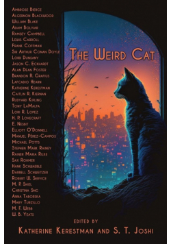 The Weird Cat