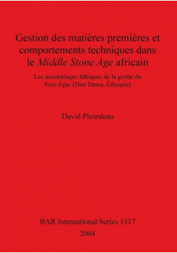 Gestion des matières premières et comportements techniques dans le Middle Stone Age africain