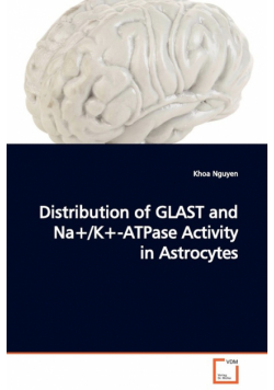 Distribution of GLAST and Na+/K+-ATPase Activity in Astrocytes