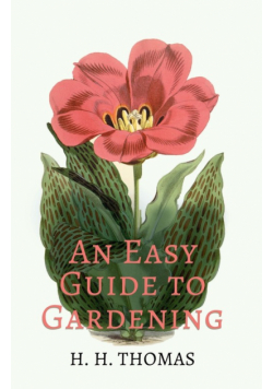 An Easy Guide to Gardening