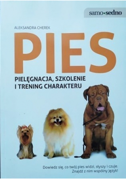 Pies Pielęgnacja szkolenie i trening charakteru