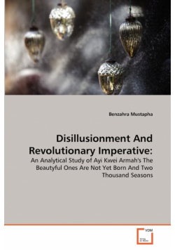 Disillusionment And Revolutionary Imperative