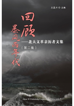 Retrospect of Stormy Days Volume 2