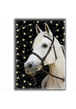 Pamiętnik błyszczący Horse 18-3660HS PASO