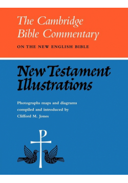 New Testament Illustrations
