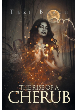 The Rise Of A Cherub