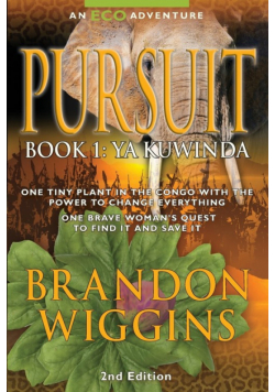Pursuit