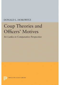Coup Theories and Officers' Motives