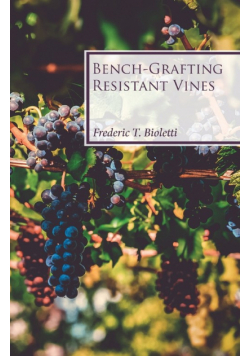 Bench-Grafting Resistant Vines