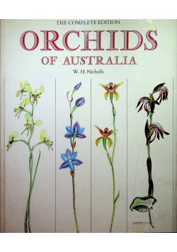 Orchids of Australia