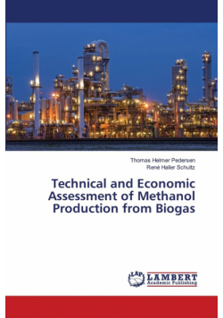Technical and Economic Assessment of Methanol Production from Biogas