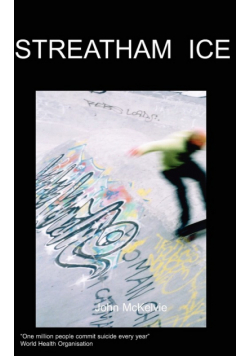Streatham Ice