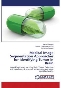 Medical Image Segmentation Approaches for Identifying Tumor in Brain