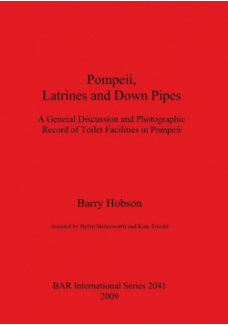 Pompeii, Latrines and Down Pipes