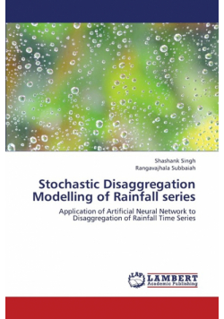 Stochastic Disaggregation Modelling of Rainfall Series