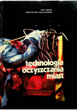 Technologia oczyszczania miast