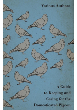 A Guide to Keeping and Caring for the Domesticated Pigeon