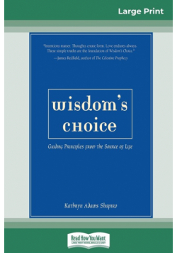 wisdom's choice (16pt Large Print Edition)
