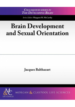 Brain Development and Sexual Orientation