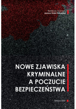 Nowe zjawiska kryminalne a poczucie bezpieczeństwa