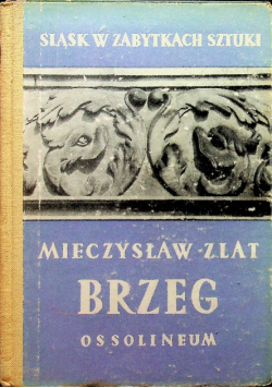 Brzeg
