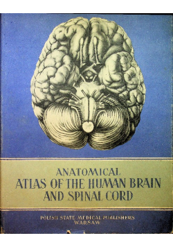 Anatomical Atlas of The Human Brain and Spinal