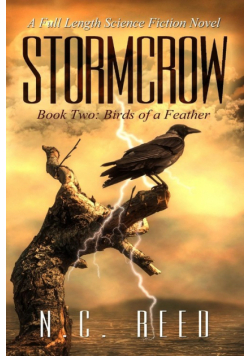 Stormcrow
