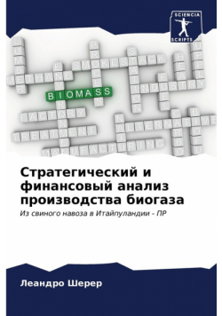 Стратегический и финансовый анализ производства биогаза