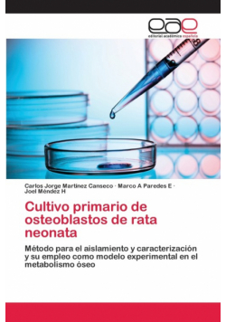 Cultivo primario de osteoblastos de rata neonata